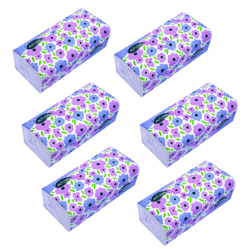 b32ac78fe505858d53c1fac73e6055b041d2cf51_1677074609 دستمال کاغذی 250 برگ فول تایم مدل دولایه اقتصادی کد M114 بسته 6 عددی - Image 1